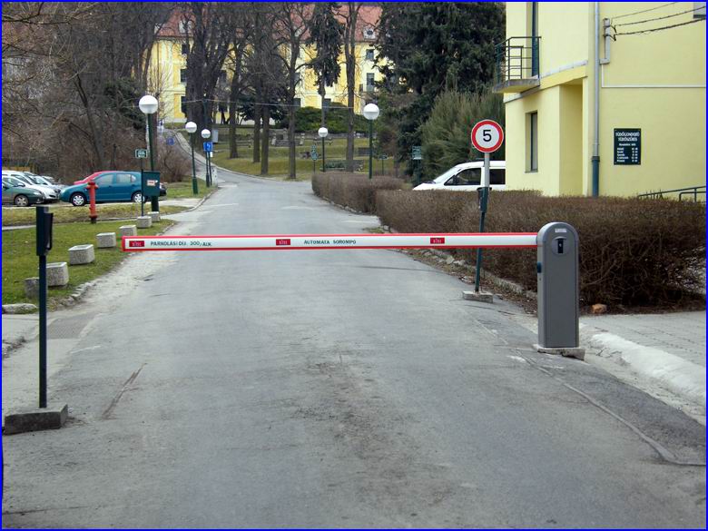 Soromp� referencia - T�r�kb�linti T�d�gy�gyint�zet